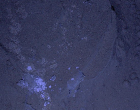 Аппарат Curiosity сделал первые фотографии Марса ночью